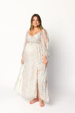 Hot Worth Collective Daphne Long Sleeve Maxi Dress in Beige/Blue Floral - Bump Friendly & I